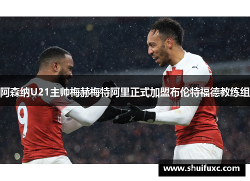 阿森纳U21主帅梅赫梅特阿里正式加盟布伦特福德教练组 阿森纳U21主帅梅赫梅特阿里正式加盟布伦特福德教练组