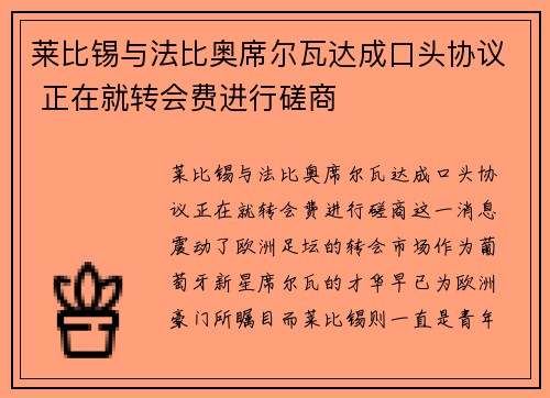 莱比锡与法比奥席尔瓦达成口头协议 正在就转会费进行磋商 莱比锡与法比奥席尔瓦达成口头协议 正在就转会费进行磋商
